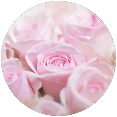Produktbild von Wallario Premium Glasbild, freischwebende Optik, kräftige Farben, rund 50cm Durchmesser, Motiv Rosafarbene Rosenblüten im Strauß