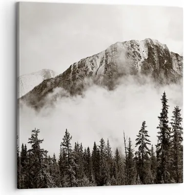 Produktbild von Bild auf Leinwand - Leinwandbild - Einteilig - Nebel Berg Wald - 60x60cm - Wand Bild - Wanddeko - Wandbilder - Leinwanddruck - Bilder - Wanddekoration - Leinwand bilder - Wandbild - AC60x60-4936