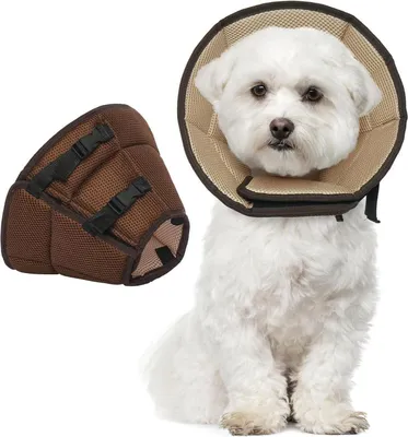 Image de Collier Kuoser pour chien Protection contre les fuites Marron M Taille 28-36cm Réglable