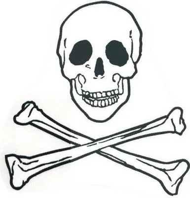 Produktbild von RÜCKENAUFNÄHER - Totenkopf - 08024 Gr. ca. 21,5 x 24 cm - Patches Stick Applikation