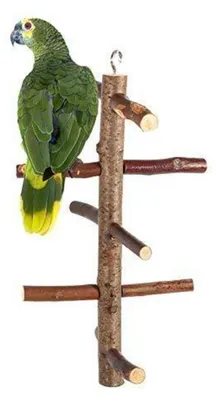 Produktbild von Vogelspielzeug Klettertreppe Sitzstange Holz für Wellensittiche und Cockatiels 27 cm