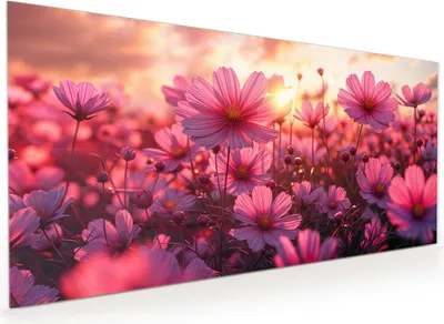 Produktbild von Küchenrückwand Spritzschutz Glas mit Motiv Blumenfeld Sonnenuntergang 40 x 40 cm