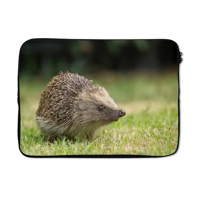 Produktbild von MuchoWow® Laptop Hülle 14 ZollIgel im Garten Laptoptasche - Laptoptasche - Stoßsicher - Schutzhaube