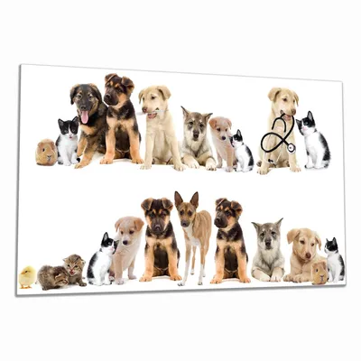 Produktbild von Wallario Herdabdeckplatte aus Glas, Größe 90 x 52 cm 1-teilig, Motiv Süße Haustiere - Katzen  Hunde  Hamster  Küken