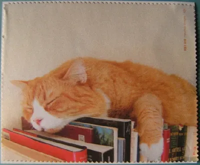 Produktbild von Reinigungstuch Katze Bücher Microfasertuch Reinigungstücher Brillenputztücher Tuch