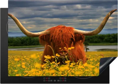 Produktbild von KitchenYeah© Herdabdeckplatte Schottischer Highlander - Tiere - Blumen , 75x52cm, Küche Deko, Glaskeramikkochfeld Herdabdeckung, Abdeckplatte fùr Kochfeld