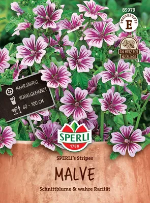 Produktbild von SPERLI Malvensamen Stripes Malva sylvestris 60 Pflanzen