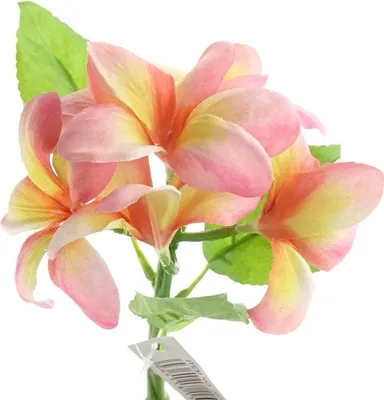 Produktbild von GASPER Frangipani - Plumeria Rosa & Gelb 32 cm - Kunstblumen