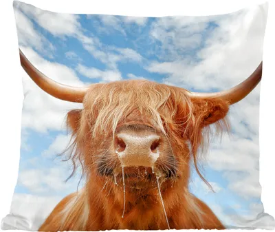 Produktbild von MuchoWow® Zierkissen Sofakissen Wohnzimmer Dekokissen 50x50 cm Schottisches Hochlandrind - Wolke - Tiere - Komfort - Sofakissen