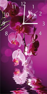Produktbild von Wallario Design Wanduhr Rosafarbene Orchidee  Blüten in pink aus Echtglas, Größe 30 x 60 cm
