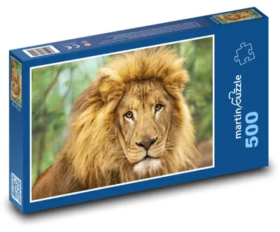 Obrázok produktu pre Puzzle 500 Lev - kráľ savany - martinpuzzle