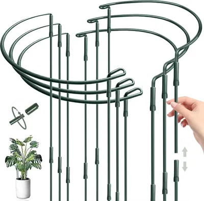 Produktbild von Pflanzenstützringen - Halbrund - Set von 6 - Grün - Metall - 25 x 60 cm