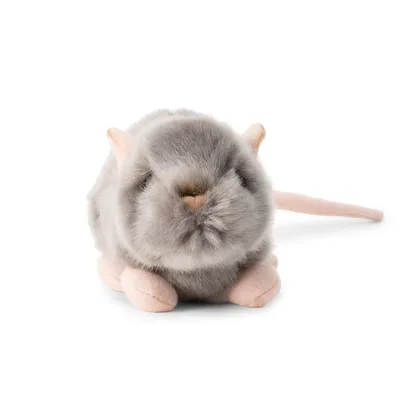 Image de Animigos Monde De La Nature Rat Couineur