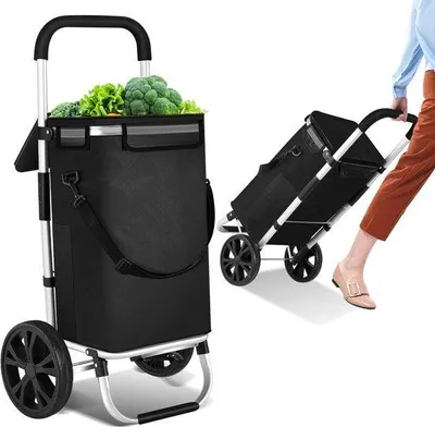 Productafbeelding van Boodschappentrolley - Winkelwagen - Boodschappen vervoeren - Met koelvak - 40 liter - Zwart