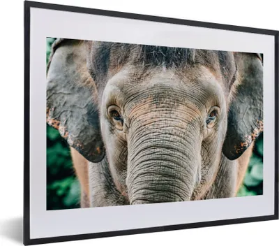 Produktbild von MuchoWow® MuchoWow® Gerahmtes Poster Elefant - Porträt - Tiere - Grau 60x40 cm - Poster mit zchwarzem Bilderrahmen - Schlafzimmer - Plakat in Rahmen - Drucken