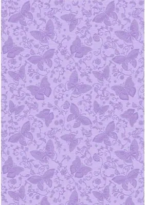 Produktbild von Fotokarton Deluxe 300g/qm 23x33cm VE=10 Bogen Schmetterlinge