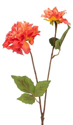 Immagine prodotto di Clayre & Eef, fiore artificiale, colore arancione, materiale: plastica