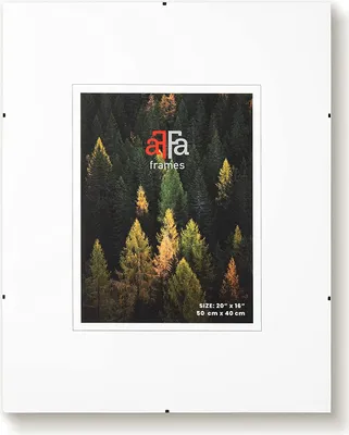 Produktbild von aFFa frames Rahmenloser Bilderhalter | Bilderrahmen | Acrylglas | mit Clips | für Fotos und Poster | Plakatrahmen | Cliprahmen | Posterrahmen | Plexiglas, HDF, 40x60 cm