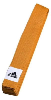 Image de Adidas BudoBand Club