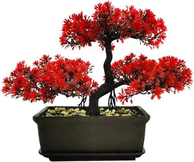 Produktbild von Künstliche Bonsai-Pflanze – Attraktive Dekoration für Wohnzimmer, Schlafzimmer, Badezimmer, Büro – 28x21,8 cm – Rot – Feng Shui Glücksbringer