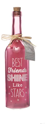 LED-Dekoflaschen Best Friends, Glas, rot, 6,7x6,7x29,5 cm