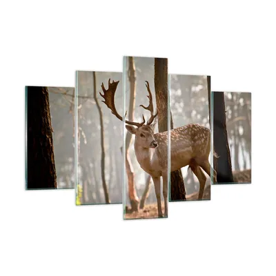 Produktbild von Bilder auf glas - Kitz Hirsch Tier wild - 150x100cm - Glasbilder - Wandbilder - Kunstdruck - zum Aufhängen bereit - Wanddekoration aus Glas - Glas Bilder - Wandbild auf Glas - GEA150x100-2400