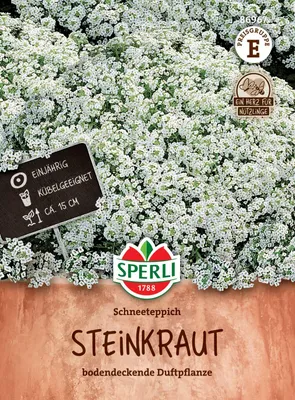 Zdjęcie produktu dla Rozchodnik śnieżny Sperli - nasiona kwiatów