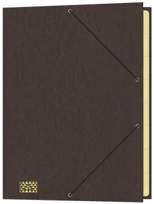 Produktbild von RNK Gummizugmappe 35x25cm braun 9 Fächer Sichtstanz.u.Registerschn.