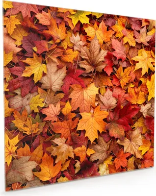 Produktbild von Küchenrückwand Spritzschutz Glas mit Motiv Herbstlaub 40 x 40 cm