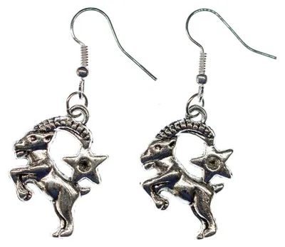 Produktbild von Steinbock Stern Ohrringe Miniblings Hänger Sternzeichen Sternbild Astrologie