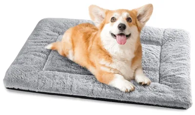 Produktbild von Waschbares Hundebett mit rutschfester Unterseite 75x50cm
