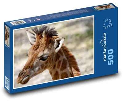 Zdjęcie produktu dla martinpuzzle - Puzzle 500 - Żyrafa - dla dzieci