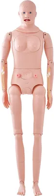 Produktbild von Pflegeübungsfigur, männlich/weiblich, lebensgroße Demonstrationsfigur für die Pflegeausbildung, multifunktionales Lehrmodell, anatomischer PVC-Mannequin-Körperpflegesimulator