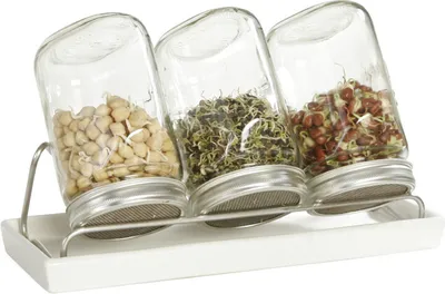 Produktbild von Eschenfelder Sprossensysteme 3er Sprossen-System mit 750ml Glas Weiss