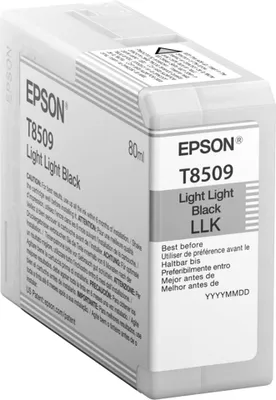 Produktbild von Epson Tintenpatrone light light black T 850 80 ml         T 8509