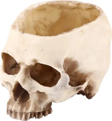 Produktbild von Halloween-Totenkopf-Dekorationen aus Harz, Blumentopf-Szenen-Dekorationen, Bonbonschalen