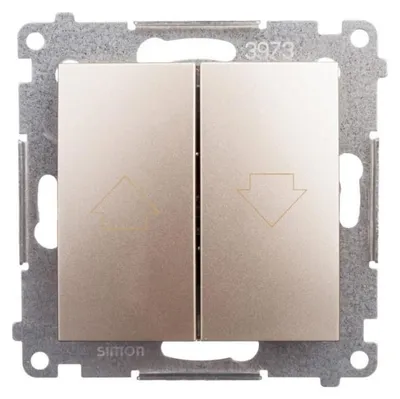 Image de Kontakt-Simon DZP1.01/44, Interrupteur à bouton-poussoir, Plastique, Or, IP20, IP44, 250 V, 10 A