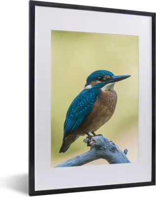 Produktbild von MuchoWow® Gerahmtes Poster Eisvogel - Zweig - Vogel 30x40 cm - Poster mit Schwarzem Bilderrahmen Wandposter Rahmen Foto Bilder - Wandposter Schlafzimmer