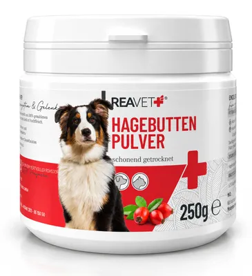 Produktbild von REAVET Hagebuttenpulver für Hunde & Katzen 250 g – Reine Hagebutte mit natürlichem Vitamin C – Für Immunsystem & Gelenke – Hoher Fruchtfleischanteil, schonend getrocknet & fein gemahlen