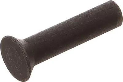 Obrázok produktu pre Skrutka s vodorovnou hlavou, 5 x 22 mm (podľa normy DIN 661)
