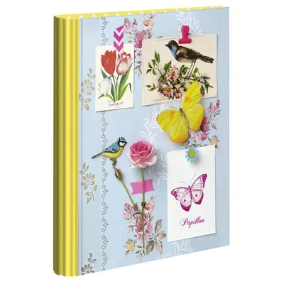 Produktbild von Exacompta 15x Ringbuch A4+ PP, 4 Ringe 30mm, Pastellgrün, 51973E