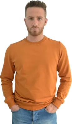 Produktbild von Sweatshirt Hoodie Rundhalsform Royyen 31200 Herren – CAMEL / L