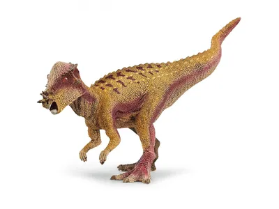 Obrázek produktu pro Schleich Dinosaurus - Dinosaurus Pachycephalosaurus, figurka pro děti 4+