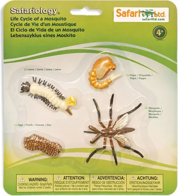 Produktbild von Safari Ltd Life Cycle Of A Mosquito Multicolor One Size