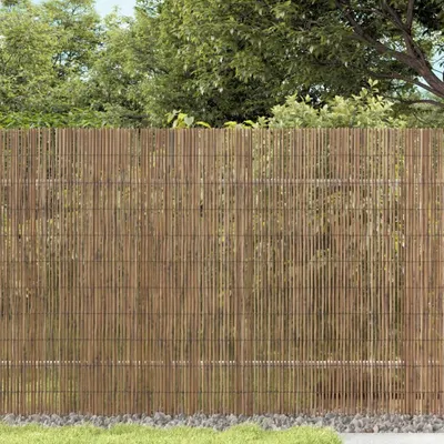 Produktbild von Maison Exclusive - Gartenzaun 400x100 cm Schilf