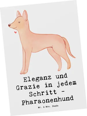 Produktbild von Mr. & Mrs. Panda Postkarte Eleganter Pharaonenhund - Weiß - Geschenk, Hunderasse, Hunderassen Beschreibung, Stolz, Ansichtskarten, Grußkarte, Ansichtskarte, edel, Hunde