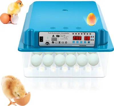 Obrázek produktu pro Inkubátor Aopunly pro 36 vajec Automatický inkubátor s plně automatickým systémem otáčení, inkubátor s regulací teploty a vlhkosti, pro kuřata, kachny a jiná mláďata