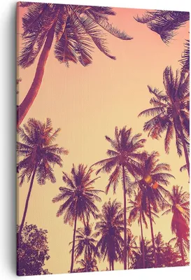 Produktbild von Bild auf Leinwand - Leinwandbild - Einteilig - Palmen Himmel Sonne - 50x70cm - Wand Bild - Wanddeko - Wandbilder - Leinwanddruck - Wanddekoration - Leinwand bilder - Wandbild - PA50x70-4220