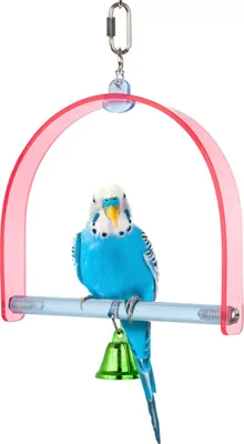 Produktbild von Akrylschaukel Für Kleine Papageien - 27 X 14 Cm - Spielzeug Für Vögel