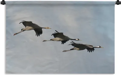Produktbild von MuchoWow® Wandteppich Wandbehang Drei Kraniche fliegen auf spektakuläre Weise durch die Luft 90x60 cm Tapisserie Dekoration Wandtuch - Wandskulpturen - Bildteppich